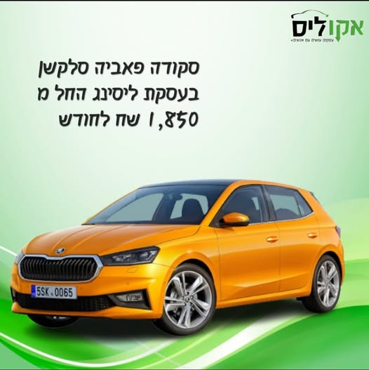 ליסינג