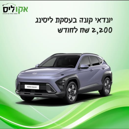ליסינג