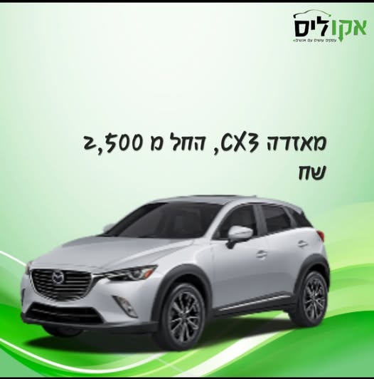 ליסינג